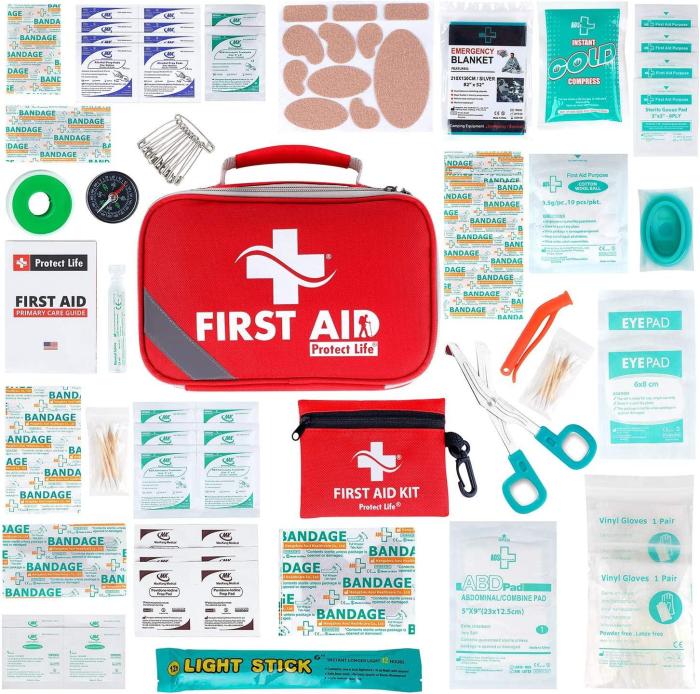 250-Piece 2-in-1 First Aid Kit for Car - Essential Emergency Supplies ... First Aid Kit
