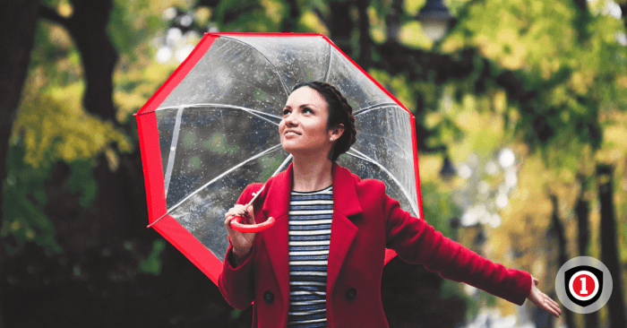 The Basics About Umbrella Insurance Coverage | InsureOne Umbrella Insurance