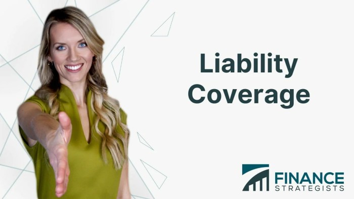 Liability Insurance