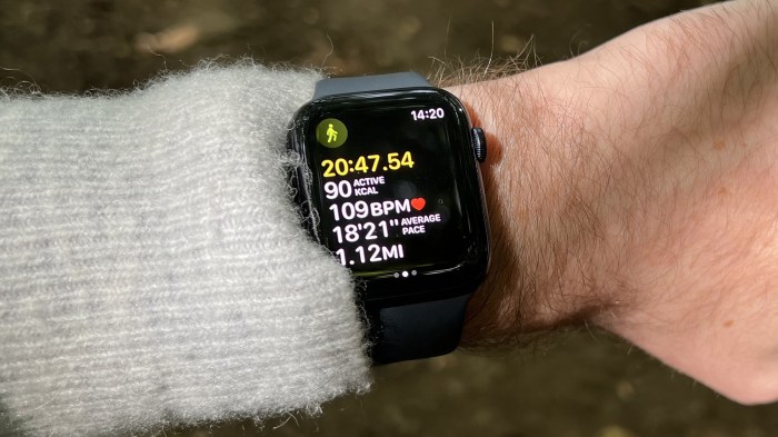 Fitness Tracker Watch