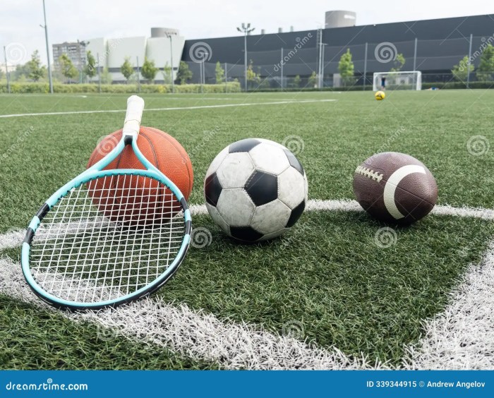 Assorted Sports Equipment Including a Basketball, Soccer Ball, Tennis ... Sports Equipment