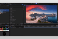 Video Stabilization Software