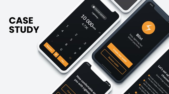 Blixt Wallet | Bitcoin Design Bitcoin Products