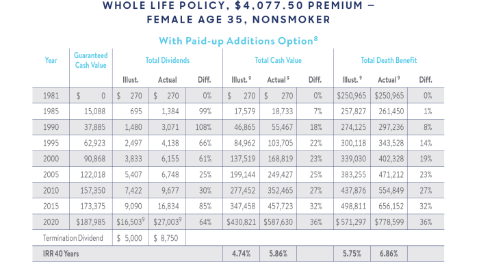Whole Life Insurance