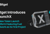 Token Launch Platforms