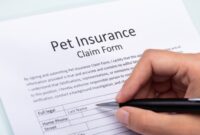 The Full Picture of Pet Insurance - MetroPet Veterinary Clinic Pet Insurance